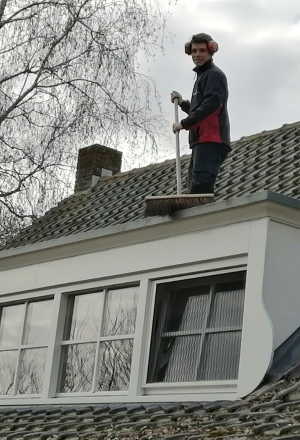 reiniging reiniging