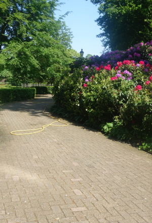 tuinonderhoud tuinonderhoud